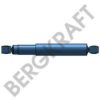 BERGKRAFT BK6270701 Shock Absorber
